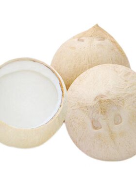 Coco椰皇椰子香甜多汁