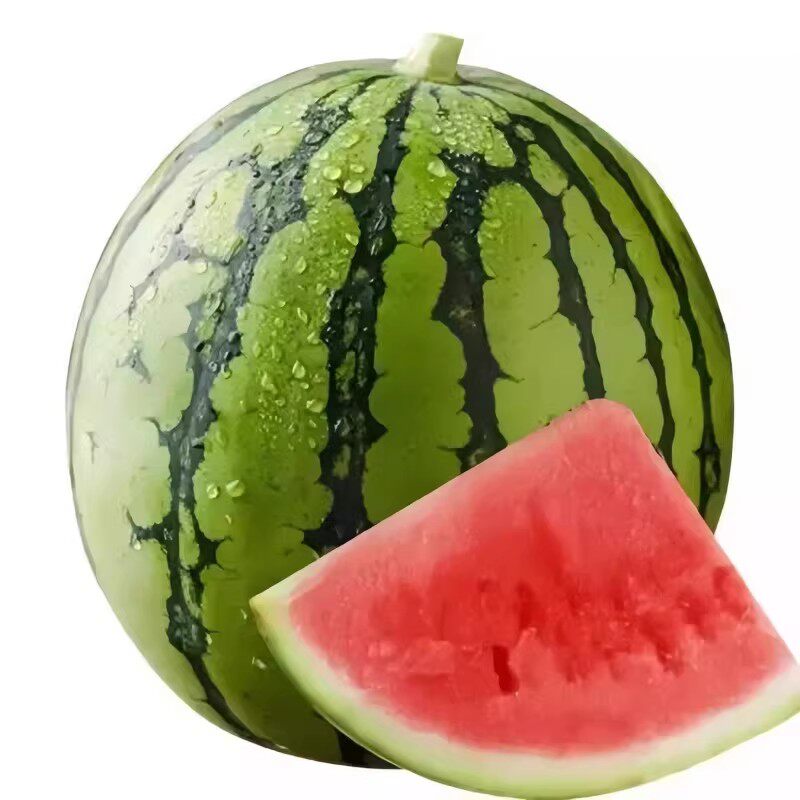 冰糖无籽麒麟西瓜种子四季高产