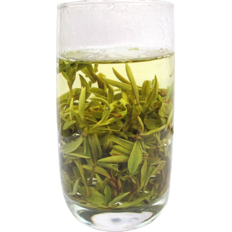 现货2026新茶上海霍山黄芽