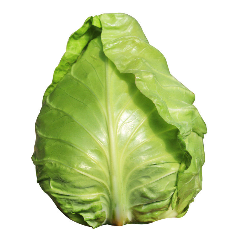 包菜种籽牛心甘蓝种子甘兰春秋包菜夏秋四季耐热高温种籽蔬菜大全