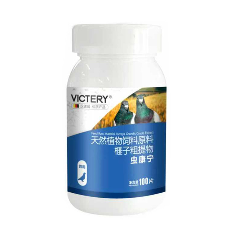 鸽子驱虫汉诺威虫康宁体内虫赛鸽