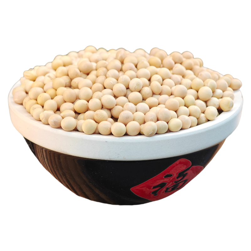 东北大豆非转基因新豆农家自种黄豆粗粮生豆芽打豆浆专用豆子500g