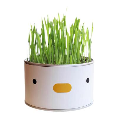 PURROOM猫草水培去毛球化毛猫草