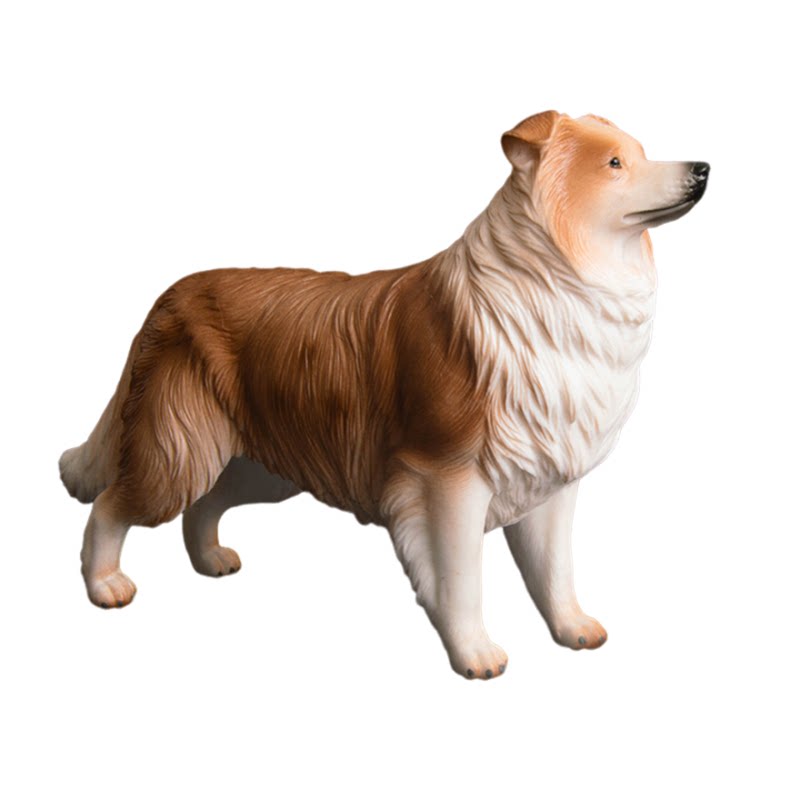 仿真动物模型实心树脂摆件男女孩认知礼物狗狗边境牧羊犬