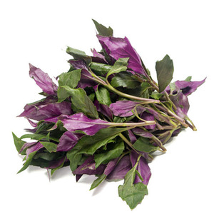 【8090】观音菜 新鲜蔬菜 紫背天葵 红背菜 500g