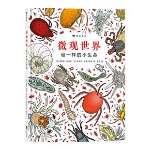 微观世界:谜一样的小生命(精装科普)2017年博洛尼亚国际童书展非虚构类“特别奖”,带领小读者探索身边的微观世界