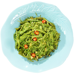 凉拌高山沙松尖1000克酒店饭店餐饮半成品凉菜预制素菜食材私房菜