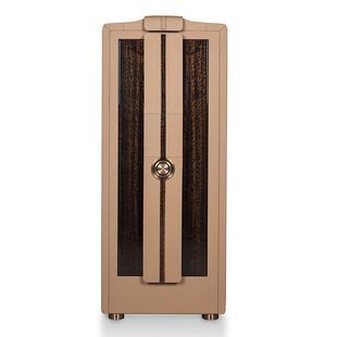 意式轻奢保险柜别墅豪宅家用首饰柜设计师款现代密码皮革锁珠宝柜