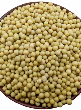向南飞新粮极小粒690黄豆生发豆芽纳豆专用小黄金黄豆浆5斤