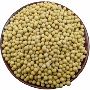 向南飞新粮极小粒690黄豆生发豆芽纳豆专用小黄金黄豆浆5斤