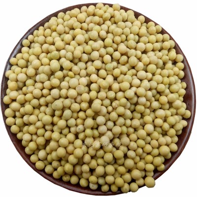 向南飞新粮极小粒690黄豆生发豆芽纳豆专用小黄金黄豆浆5斤