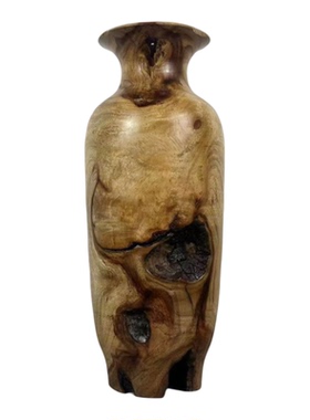 玄关软装雷击木枯木朽木禅意