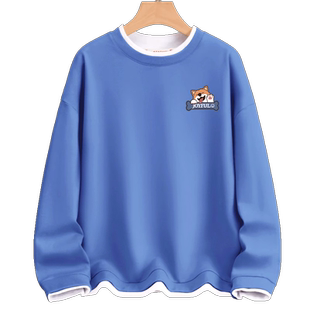 青少年卫衣男款2026新款春秋款圆领学生春季假两件初中生男生春装