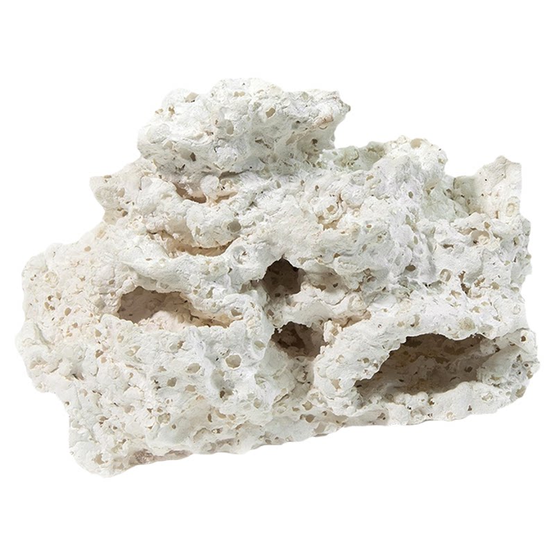 造景装饰波兰Aquanetta珊瑚躲避