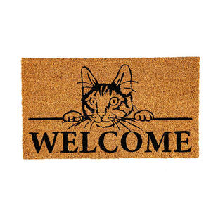 印度进口手工椰壳门垫入户门进门口门厅可爱猫咪welcome椰棕脚垫