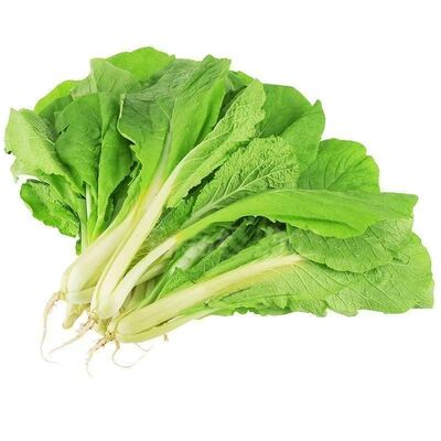 快菜种籽四季奶油小白菜鲜嫩阳台小院高产耐热耐寒抗病蔬菜茽
