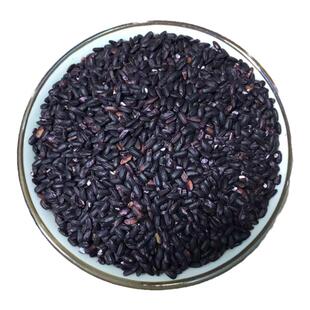 贵州血糯米新米 正宗梯田紫糯米农家种植血糯米甜酒酿粗粮黑糯米