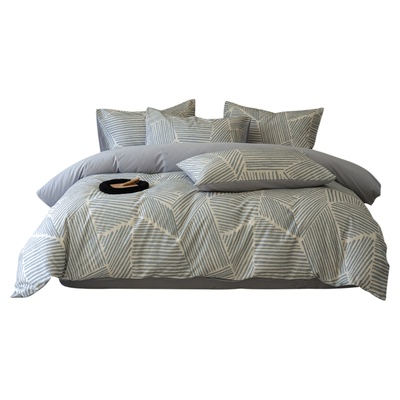 ins简约加厚磨毛四件套冬100全棉