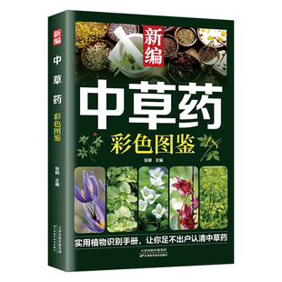 新编中草药彩色图鉴正版超实用中草药识别手册中草药图鉴图谱中国药材图鉴中药材大全148种常用中草药识别应用原色图片中医学书籍