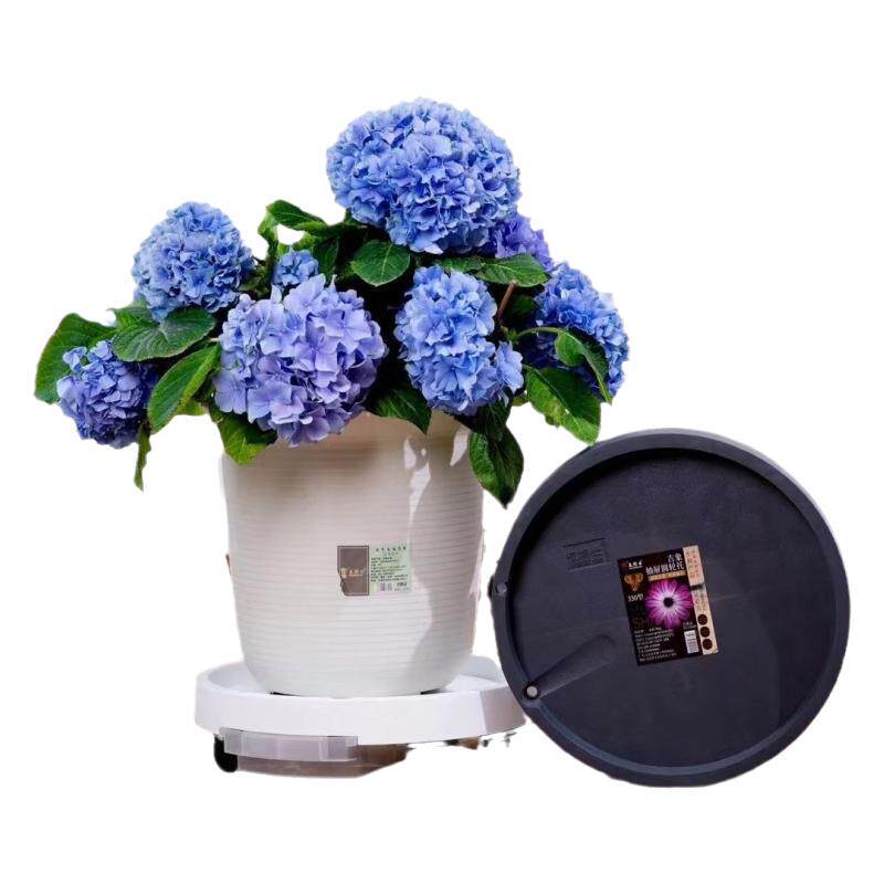 多肉绿植加厚北欧风塑料花盆托盘
