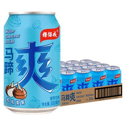 杨协成马蹄荸荠饮料300ml×24罐