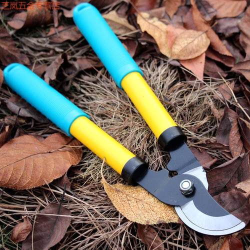 果树修剪树枝剪刀省力修枝剪粗枝剪高枝剪花剪摘果剪园林园艺工具
