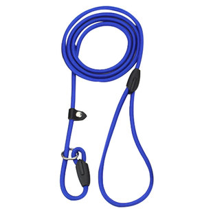 宠物P链牵引绳狗狗牵引带训犬绳遛狗绳狗链用品泰迪中小型犬专用