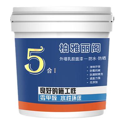 外墙漆自刷乳胶漆水泥墙面涂料