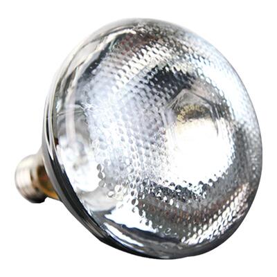 专用育雏养殖场升温取暖灯