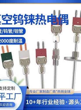 厂家直销WRE5/26WRE3/25钨铼热电偶钼管钨管刚玉管 真空炉用2300