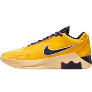 滔搏NIKE耐克男鞋LEBRON WITNESS IX EP运动训练篮球鞋HQ8035-700