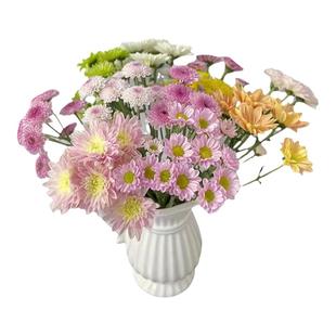 鲜花配草配花草花系列尤加利叶插花洋甘菊红豆枝插瓶水养花艺周边