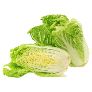 华耐B1102娃娃菜小白菜心叶鲜黄 叶球紧实四春季好吃蔬菜种子籽孑