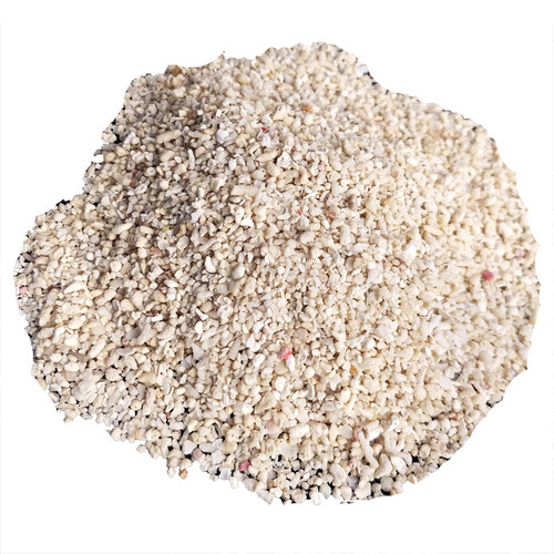 天然鱼缸底砂贝壳砂三湖砂海沙菲律宾沙鱼缸造景装饰慈鲷寄居蟹沙