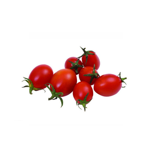 盆栽圣女果千禧小番茄种籽樱桃小柿子西红柿苗秧苗超甜蕃茄种子孑