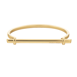 BANGLE - 2023 CalvinKlein Elongated Linear 35000018 - CK手镯