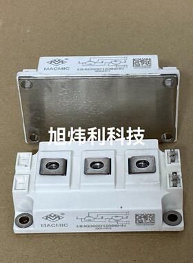 MMG300D120B6HN    MMG200D120B6议价