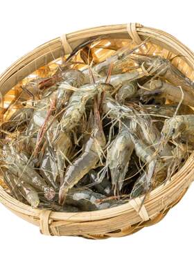 【当日捕捞】河虾鲜活淡水小河虾