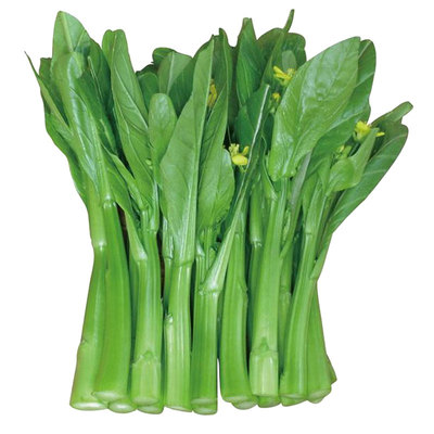 连州菜心种子种籽广东莱苔四季蔬菜子迟甜菜心南方秋后菜种菜籽