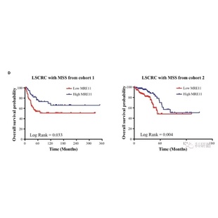 生信分析服务单细胞数据测序转录组分析tcga geo数据库挖掘