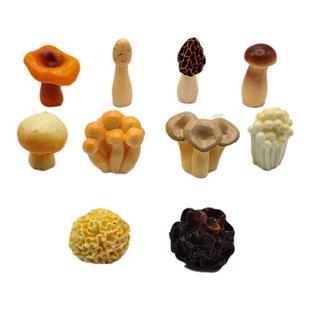 仿真写实蔬菜模型食玩小蘑菇香菇羊肚菌玩偶微景观摆件迷你装饰品