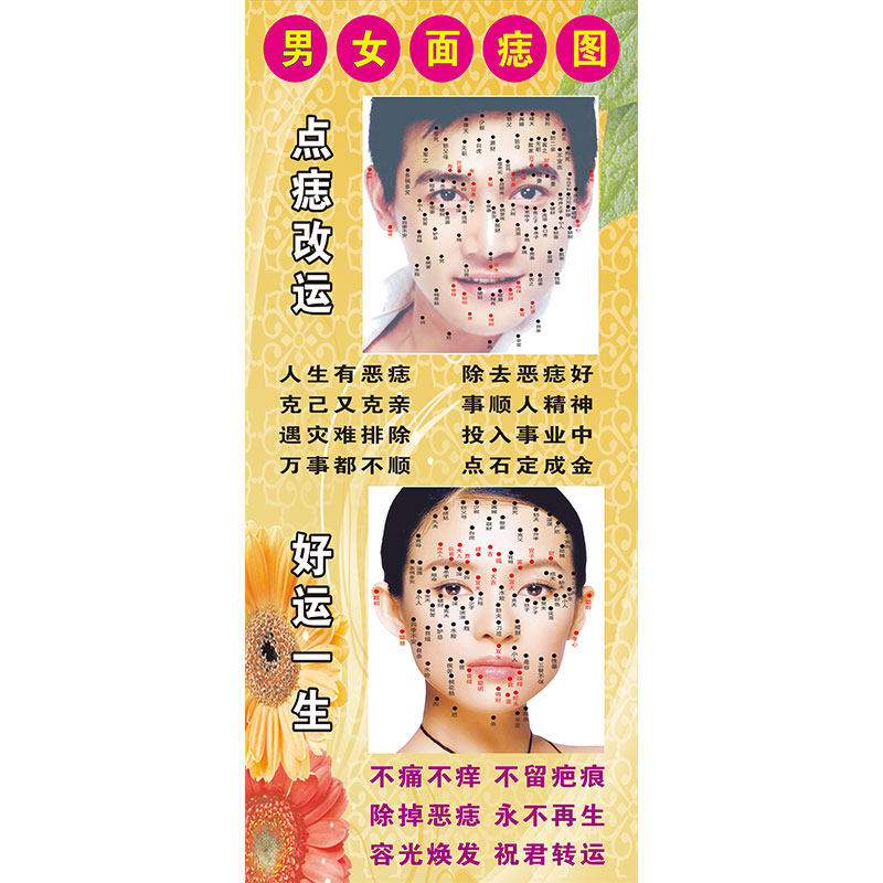 男女面痣图古方祛斑祛痣祛疣展架