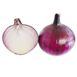 北京农科院京研紫皮洋葱种子特大圆葱耐寒红皮四季葱种孑蔬菜种籽