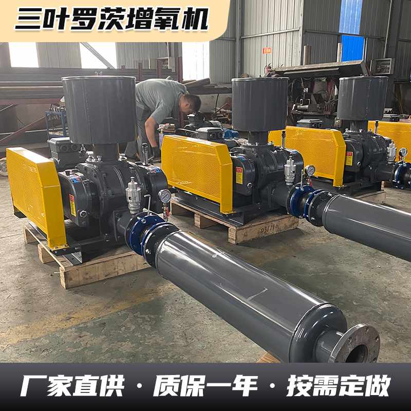 厂家气力输送污水处理增氧泵水产养殖三叶罗茨鼓风机鱼塘增氧机