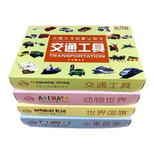 幼儿童启蒙认知卡片英语数字汽车标志象形识字安全标识铁盒撕不烂