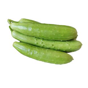 正宗山东海阳白玉黄瓜4.8斤生态种植斤新鲜生吃现摘脆嫩当季蔬菜