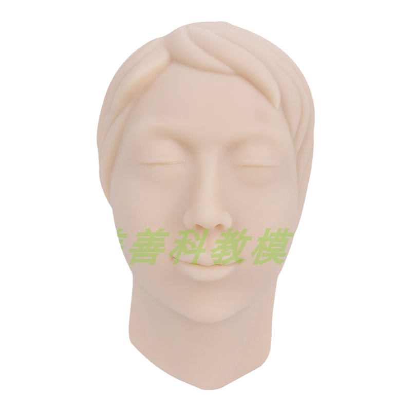 美善模型面部注射硅胶头教学