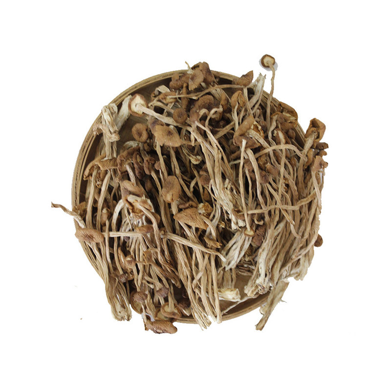 东北特产正宗茶树菇干货特级野生