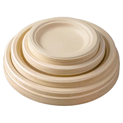 一次性碗食品级加厚耐高温野餐