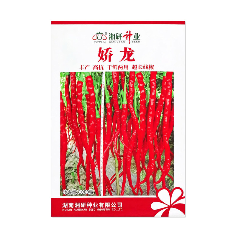 湘研娇龙辣椒种子中熟长线椒